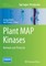 Plant Map Kinases