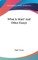 What Is Man? And Other Essays