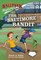 The Baltimore Bandit