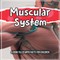 Muscular System