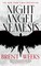 Night Angel Nemesis