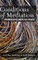 Conditions of Mediation; Phenomenological Perspectives on Media