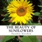 The Beauty of Sunflowers