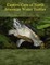 Captive Care of North American Water Turtles