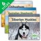 Dogs Set 3 (Set)