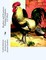 Broilers and Roasters