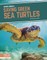 Saving Green Sea Turtles