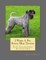 I Want A Pet Kerry Blue Terrier
