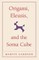 Origami, Eleusis, and the Soma Cube