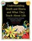Understanding Death and Illness and What They Teach about Life