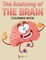 The Anatomy of the Brain Coloring Book