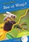 Bee or Wasp?
