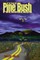 The Pine Bush Phenomenon