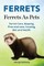 Ferrets. Ferrets As Pets. Ferret Care, Keeping, Pros and cons, housing, diet and health.