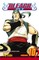 Bleach, Vol. 10