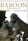 Baboon Metaphysics