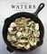 Jon Bonnell's Waters
