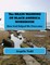 The BRAIN WASHING OF BLACK AMERICA WORKBOOK
