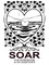 Soar