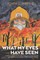 What My Eyes Have Seen