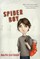 Spider Boy