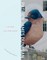 City Bird and Other Poems