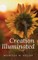 Creation Illuminated