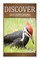 Woodpeckers - Discover