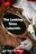 The Looking Glass Labyrinth