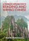 A systematic introduction to reading and writing Chinese.