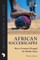 African Soccerscapes