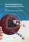 Iron Nanomaterials for Water and Soil Treatment
