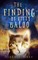 The Finding Of Kitty Baloo
