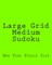 Large Grid Medium Sudoku