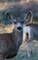 Kid's Petite Deer Journal