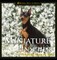 Miniature Pinscher
