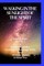 Walking in the sunlight of the spiritJourneys in sobriety