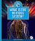 What Is the Nervous System?