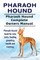 Pharaoh Hound. Pharaoh Hound Complete Owners Manual. Pharaoh Hound book for care, costs, feeding, grooming, health and training.