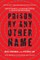 Prison by Any Other Name