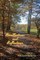 Recollections and Reflections