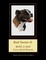 Bull Terrier II
