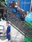 Materials and Mechanics