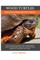 Wood Turtles