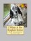 I Want A Pet English Setter