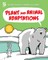 Plant and Animal Adaptations