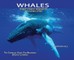 Whales, Library Edition Hardcover