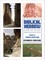 Biblical Hebrew Step by Step