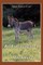 An Extravagance of Donkeys