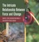 The Intricate Relationship Between Force and Change Energy, Force and Motion Grade 3 Children's Physics Books